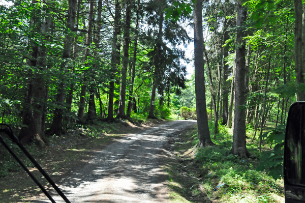 roads entering East Lake Campgroundv